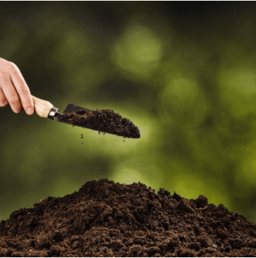 Boosting Soil Nutrients and Structure.PNG